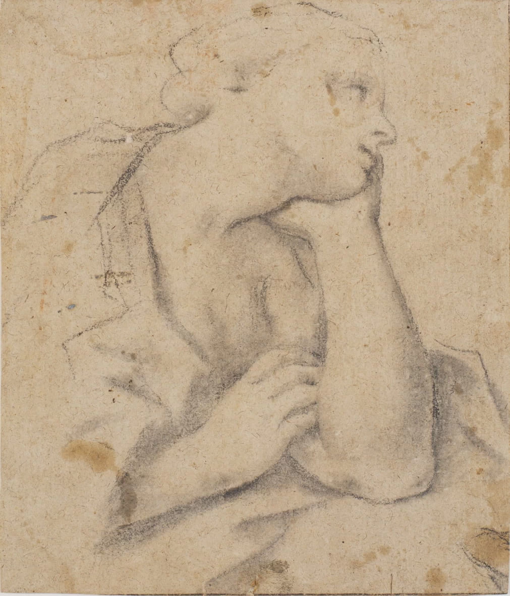 Studio di donna seduta - Statens Museum for Kunst